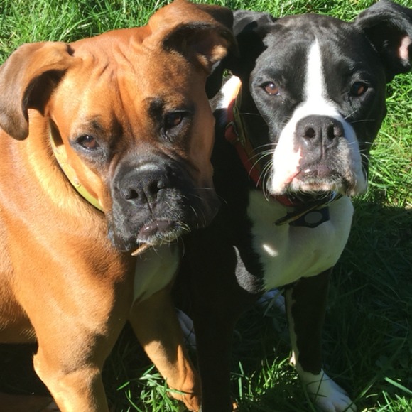 Meet your Posher, Lisa - Picture 1 of 1